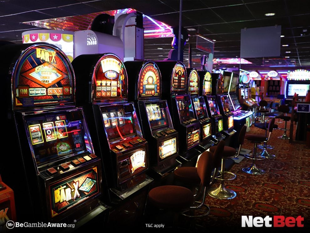 5566jogo - Plataforma Bet Login